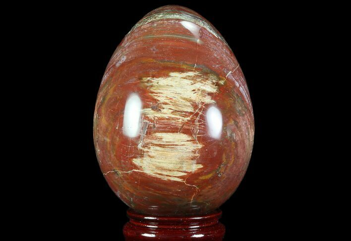Colorful, Polished Petrified Wood Egg - Triassic #74745